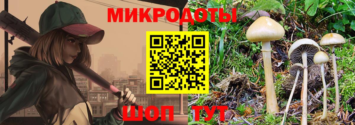 Галлюциногенные грибы Magic Shrooms Норильск