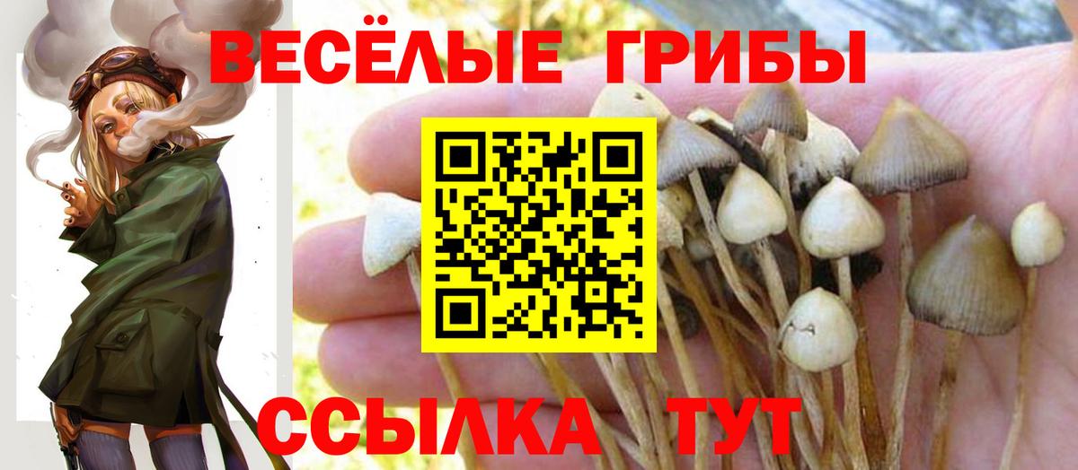 Норильск  Псилоцибиновые грибы Magic Shrooms  Вход с VPN 